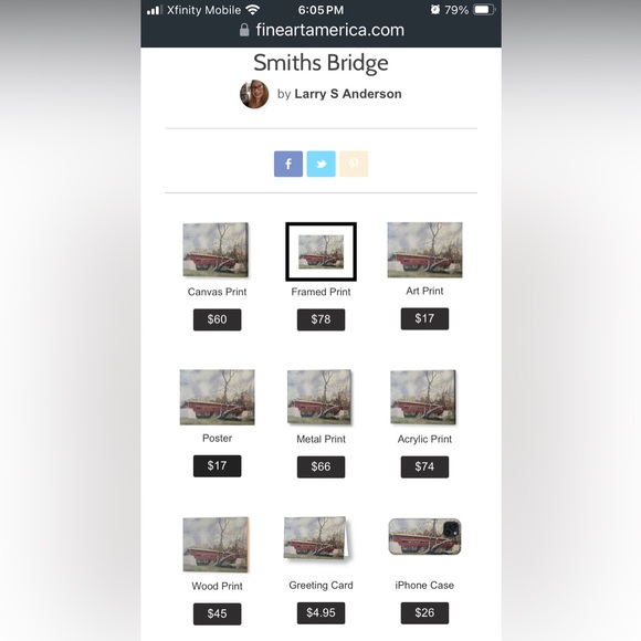 Smith’s Bridge by Larry S. Anderson - Picture 5 of 9